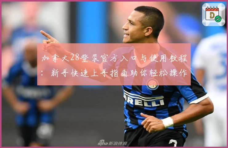 加拿大28登录官方入口与使用教程：新手快速上手指南助你轻松操作