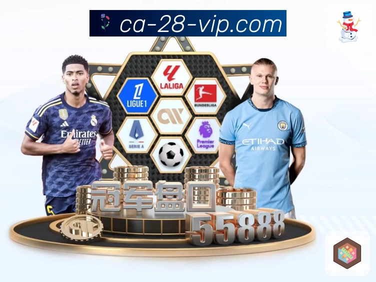 体育赛事直播与数据服务平台